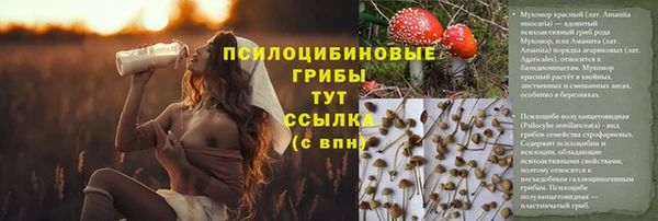 стафф Белая Холуница