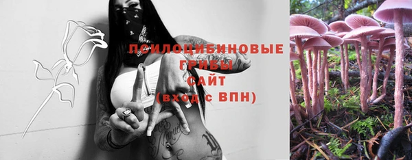 меф Осинники