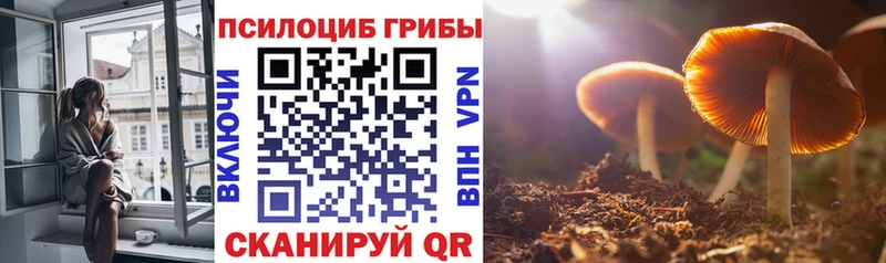 Галлюциногенные грибы Magic Shrooms Урень